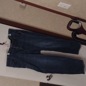 Jean pants brand Lane Bryant denim